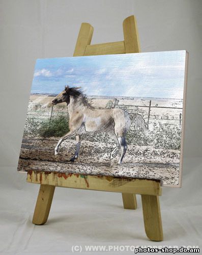 Превращаем фотографию в картину маслом рисовать в фотошоп