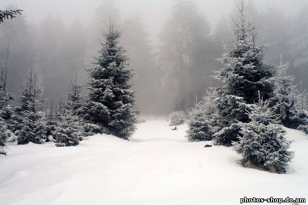 Добавить Несколько Вс Lens Flare В Photoshop рисовать в фотошоп