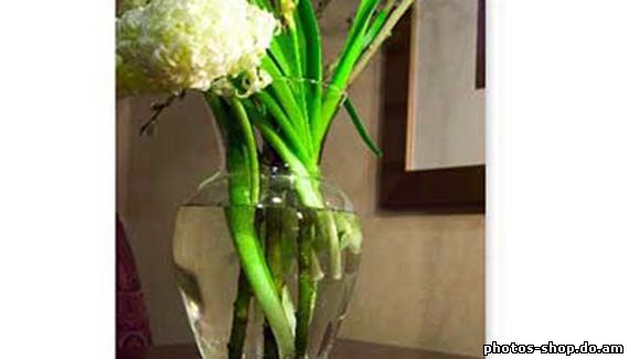 Camera Raw цветовых пространств рисовать в фотошоп